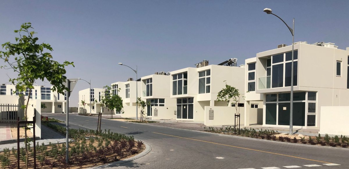 معلومات عن سنكتناري