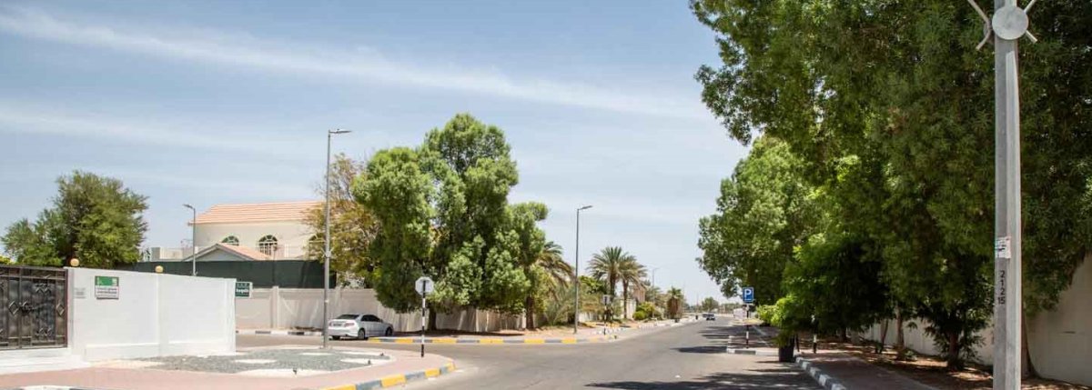 معلومات عن المسعودي