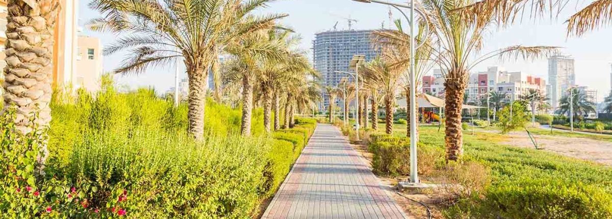 معلومات عن جراند بارادايس II