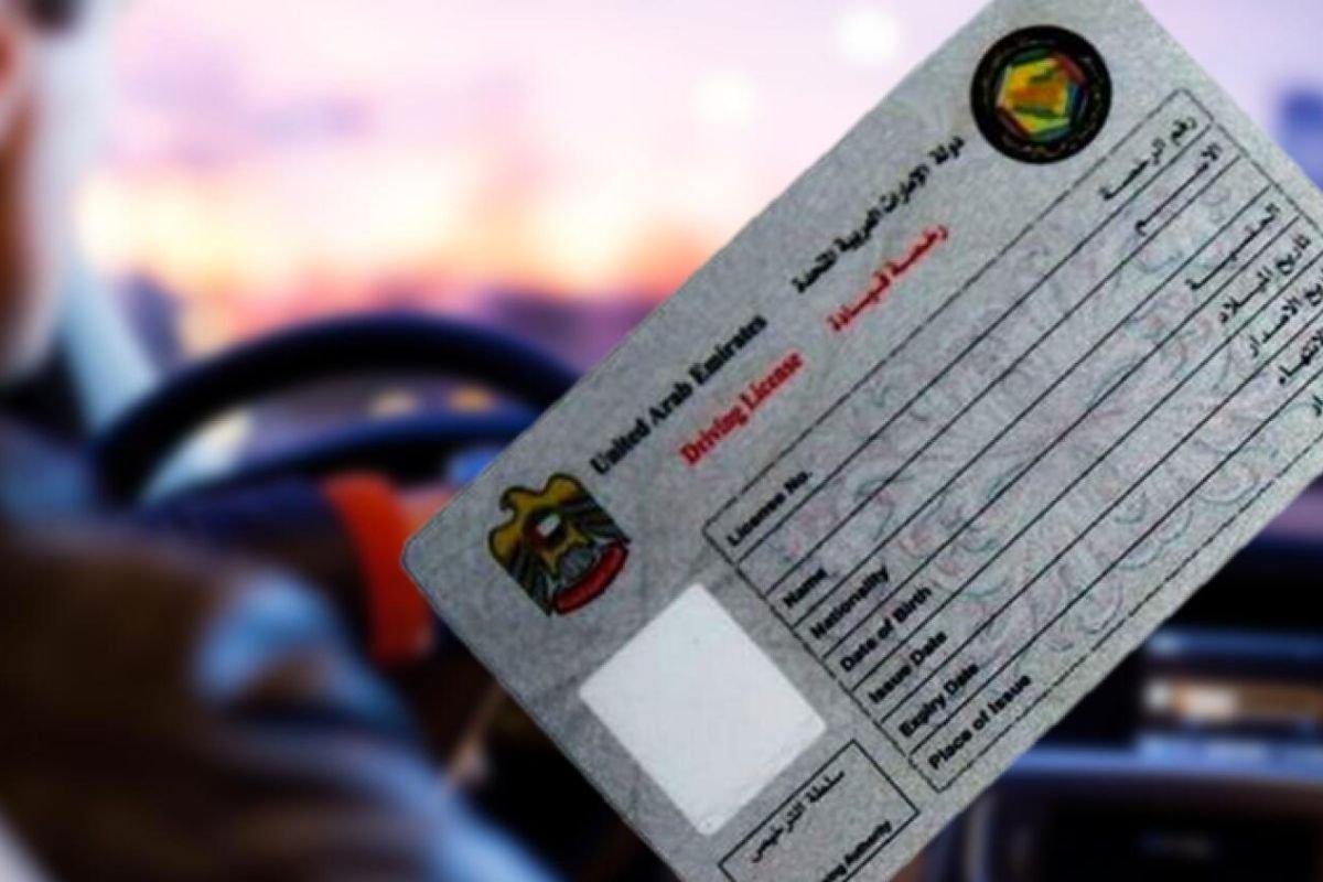 تعرف على الدليل الكامل للحصول على رخصة قيادة في الشارقة 2024