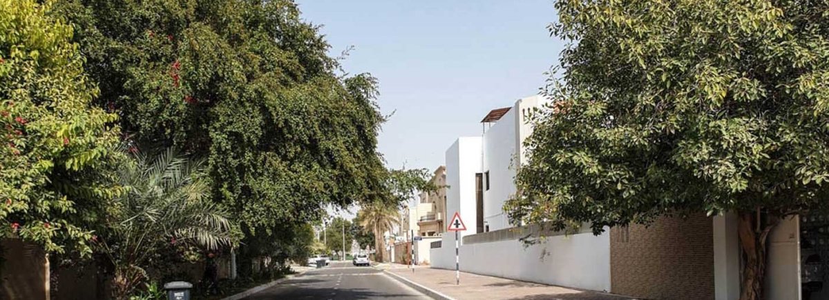 معلومات عن إيفاز، العين كل ما تريد معرفته