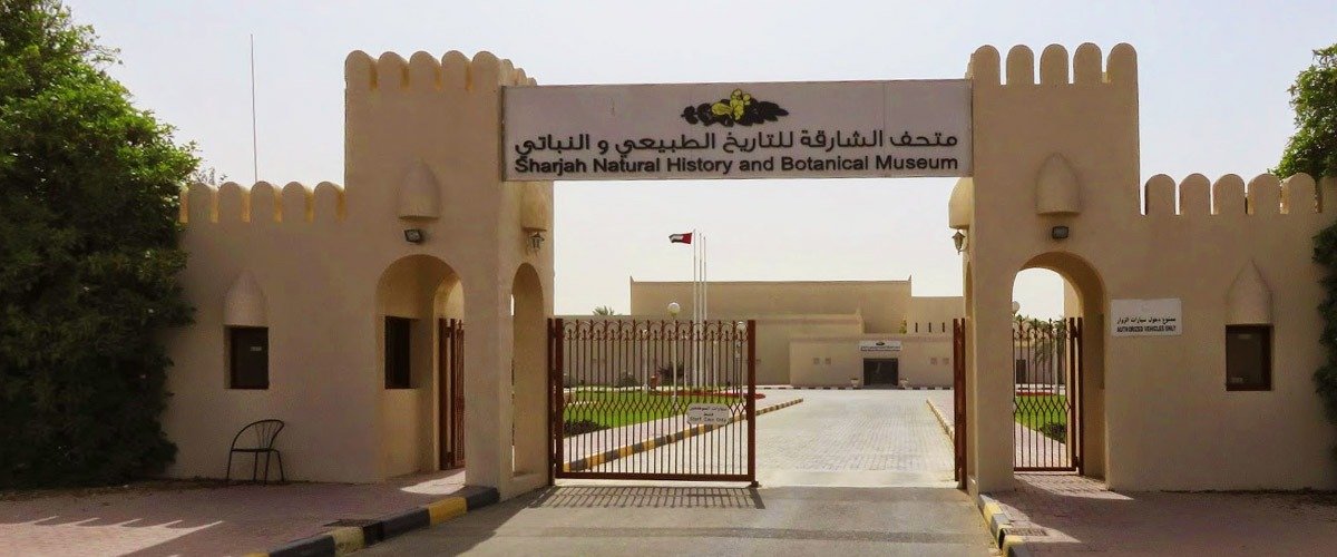 دليل متحف الشارقة للتاريخ الطبيعي والنباتي دليل شامل 2024