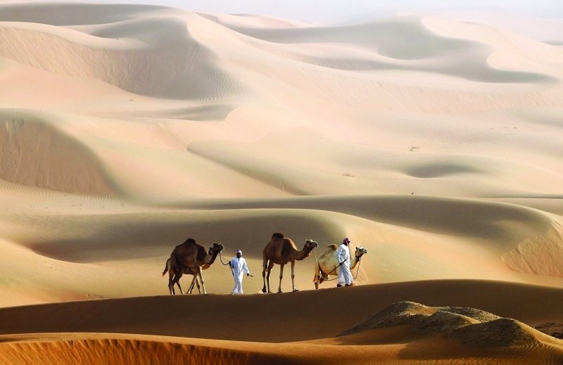 دليل صحراء الختم في العين وأبرز 5 أنشطة يمكن ممارستها في صحراء الختم