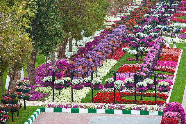 الحدائق العامة في العين 2024