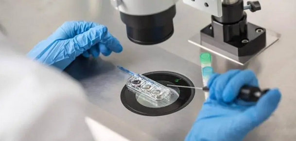 دليل أفضل مراكز الإخصاب في الإمارات 2024