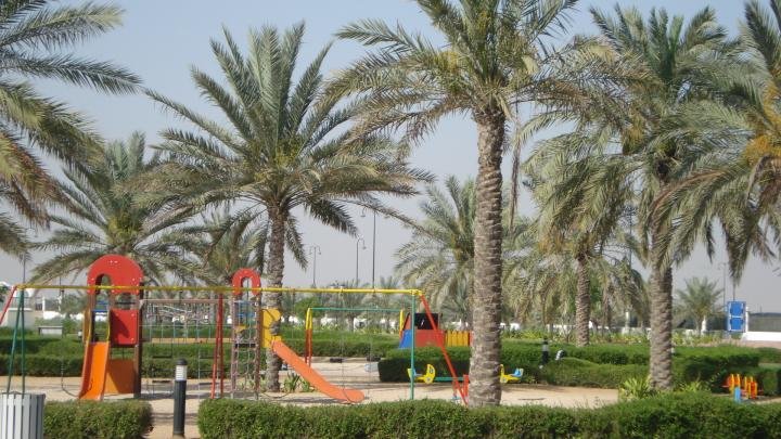معلومات عن حديقة الراشدية في عجمان
