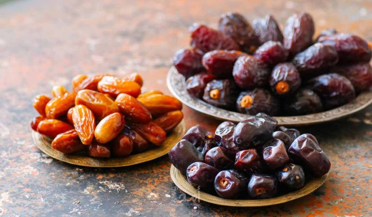 أسماء أشهر وأفضل أنواع الرطب في الإمارات
