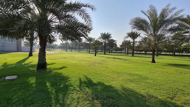 حديقة الصفيا في عجمان