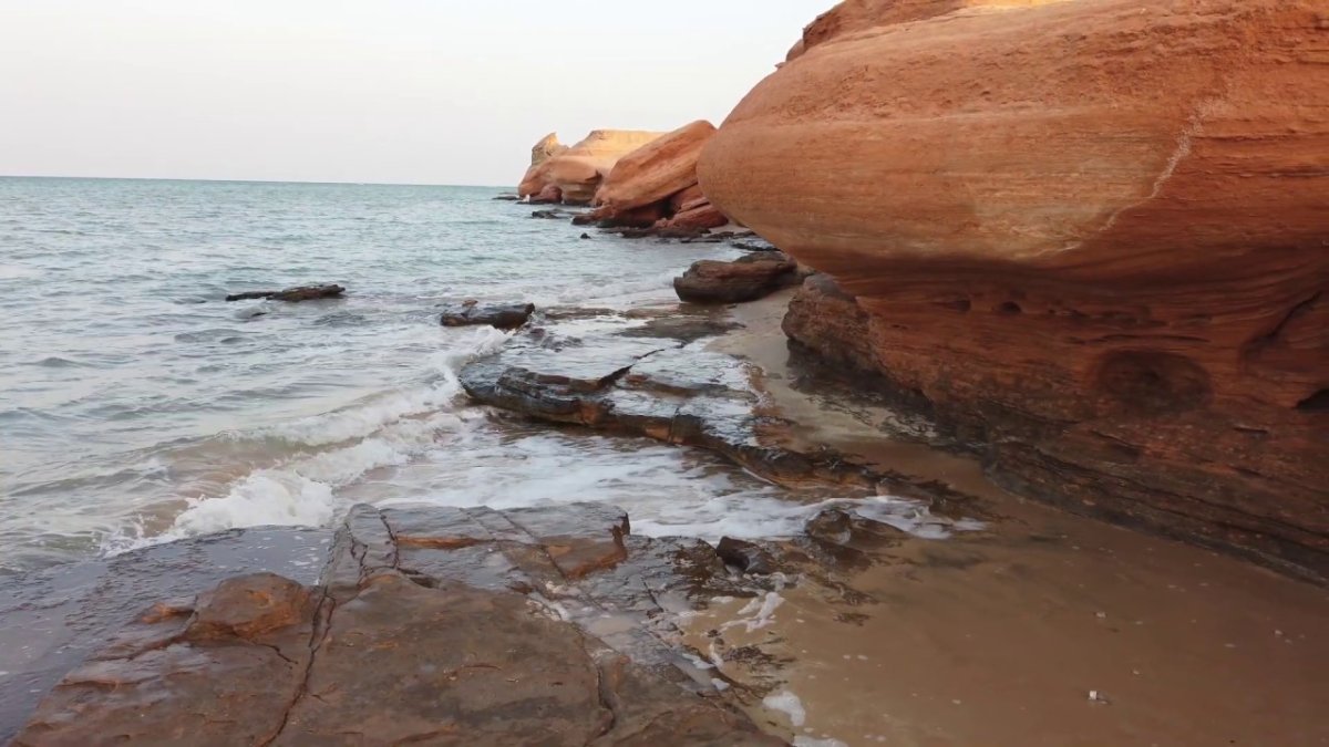 كل ما عليك معرفته عن جزيرة الشويهات في أبوظبي
