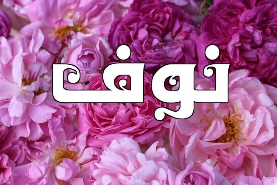 معنى اسم نوف وصفاتها وشخصيتها
