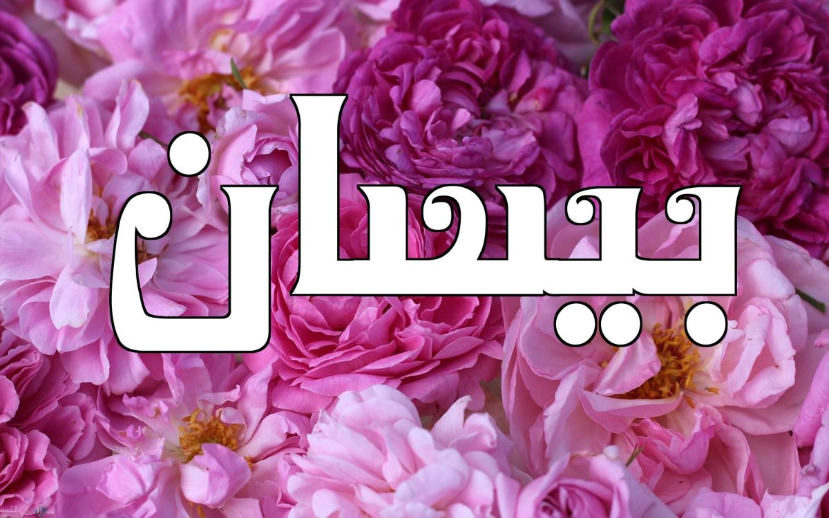 معنى اسم بيسان وصفات حاملة الاسم وحكم التسمية به في الإسلام