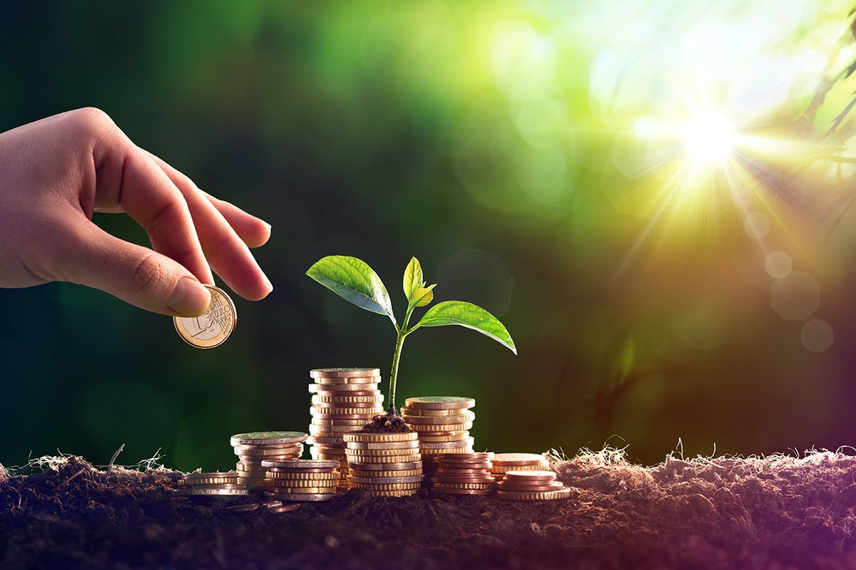 أهمية الزكاة في الإسلام وكيفية دفعها في الإمارات