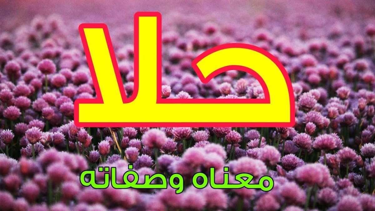 معنى اسم حلا في اللغة العربية وعلم النفس وحكم التسمية به في الإسلام
