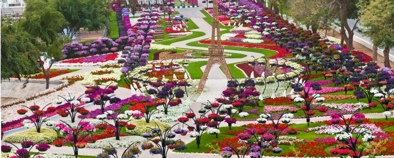 شاهد بالصور روعة وجمال حديقة برادايس في العين | زووم الإمارات