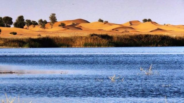معلومات عن زاخر