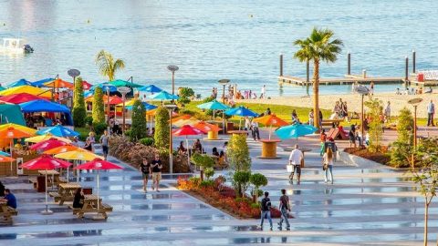 دليل ذا بيتش