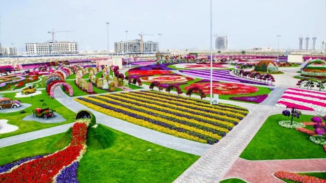 أفضل أماكن الترفيه في حديقة الزهور في دبي