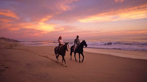 اماكن ركوب الخيل في ابوظبي