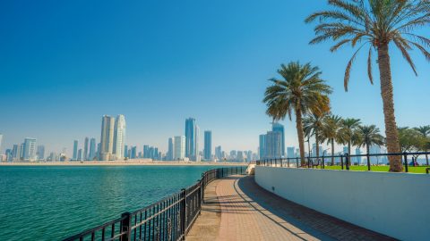 دليل حديقة شاطئ الممزر