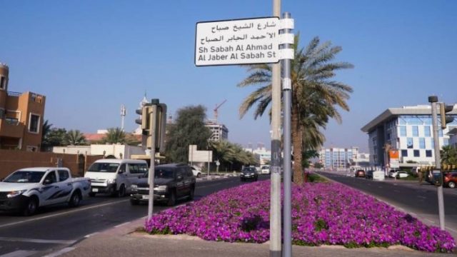 معلومات عن المنخول