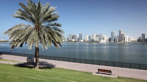 أهم الأنشطة التي يمكن القيام بها في حديقة الخور