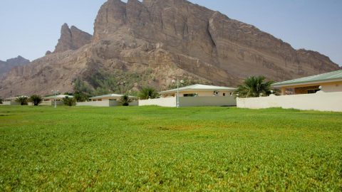 دليل شاليهات المبزرة الخضراء العين