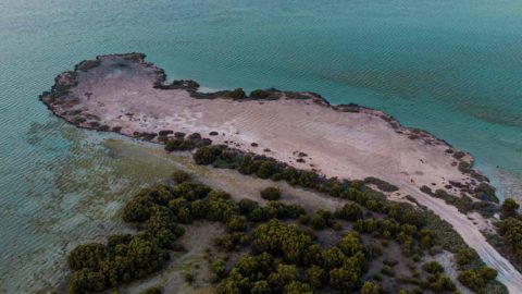 شاطئ القرم ام القيوين