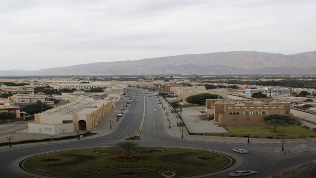 معلومات عن دبا الحصن