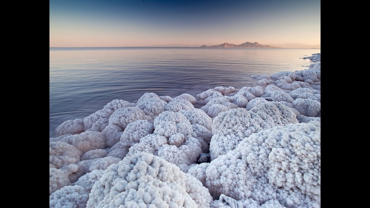 معلومات عن بحيرة الملح في أبوظبي معلومات عن بحيرة الملح في أبوظبي