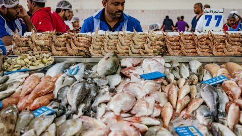 سوق السمك في الشارقة