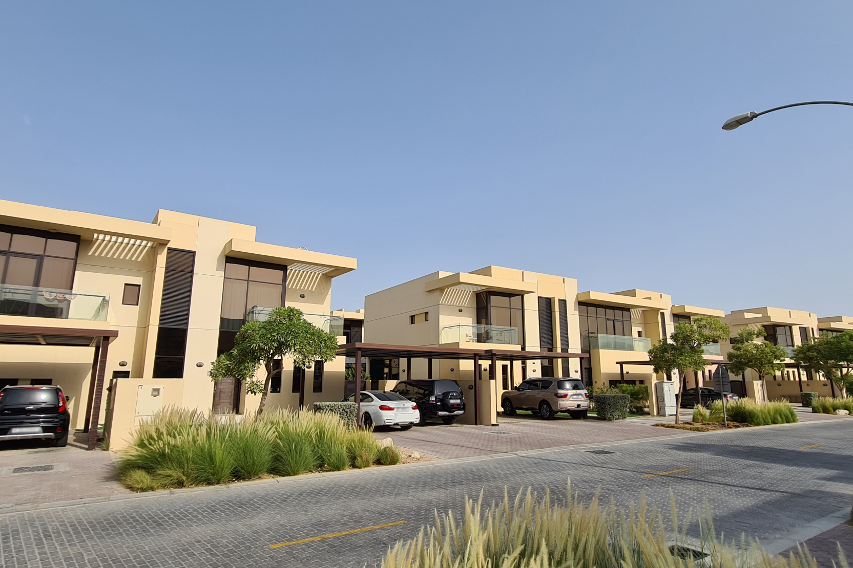 معلومات عن روكوود