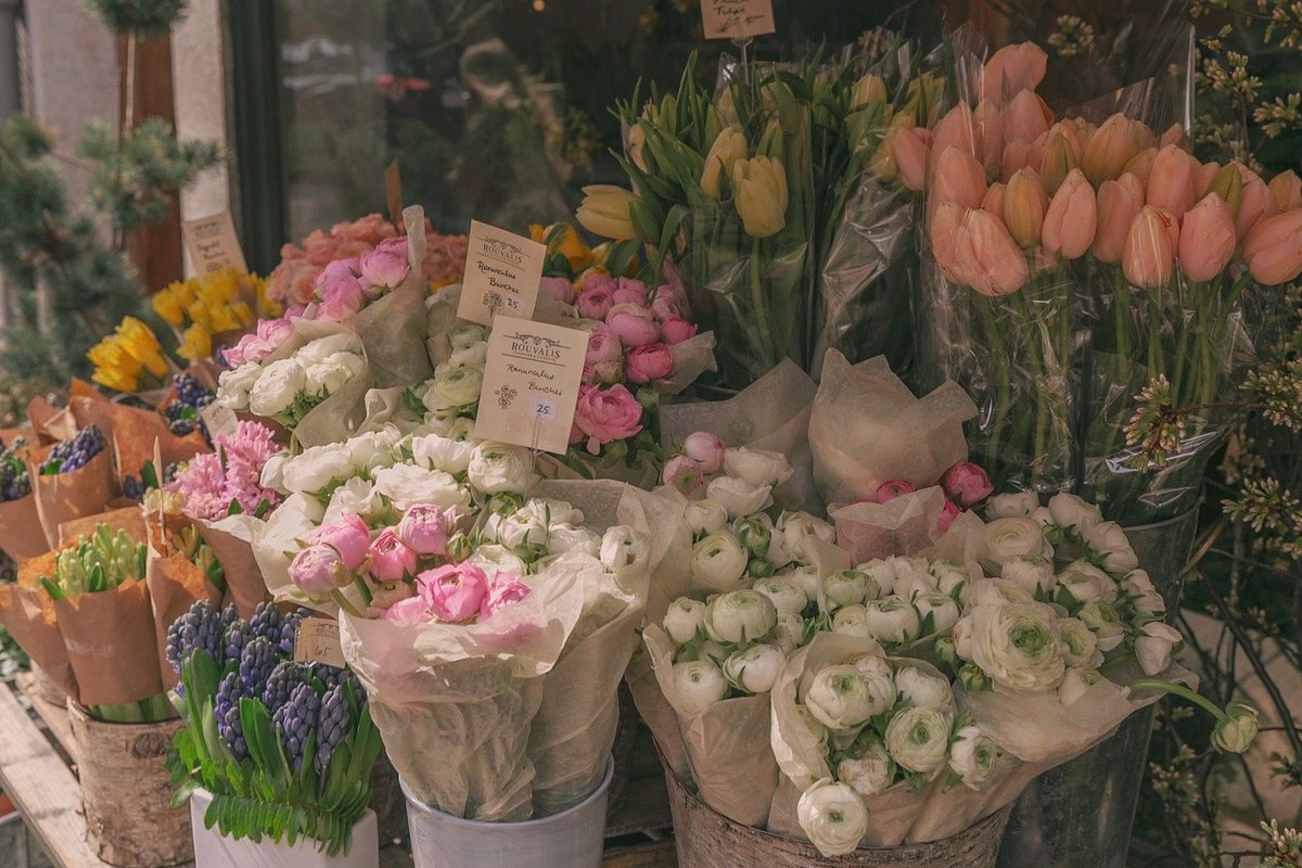 أفضل محل ورد في عجمان أفضل محل ورد في عجمان