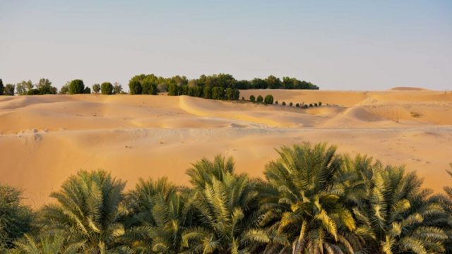 نبذة عن واحة ليوا الامارات