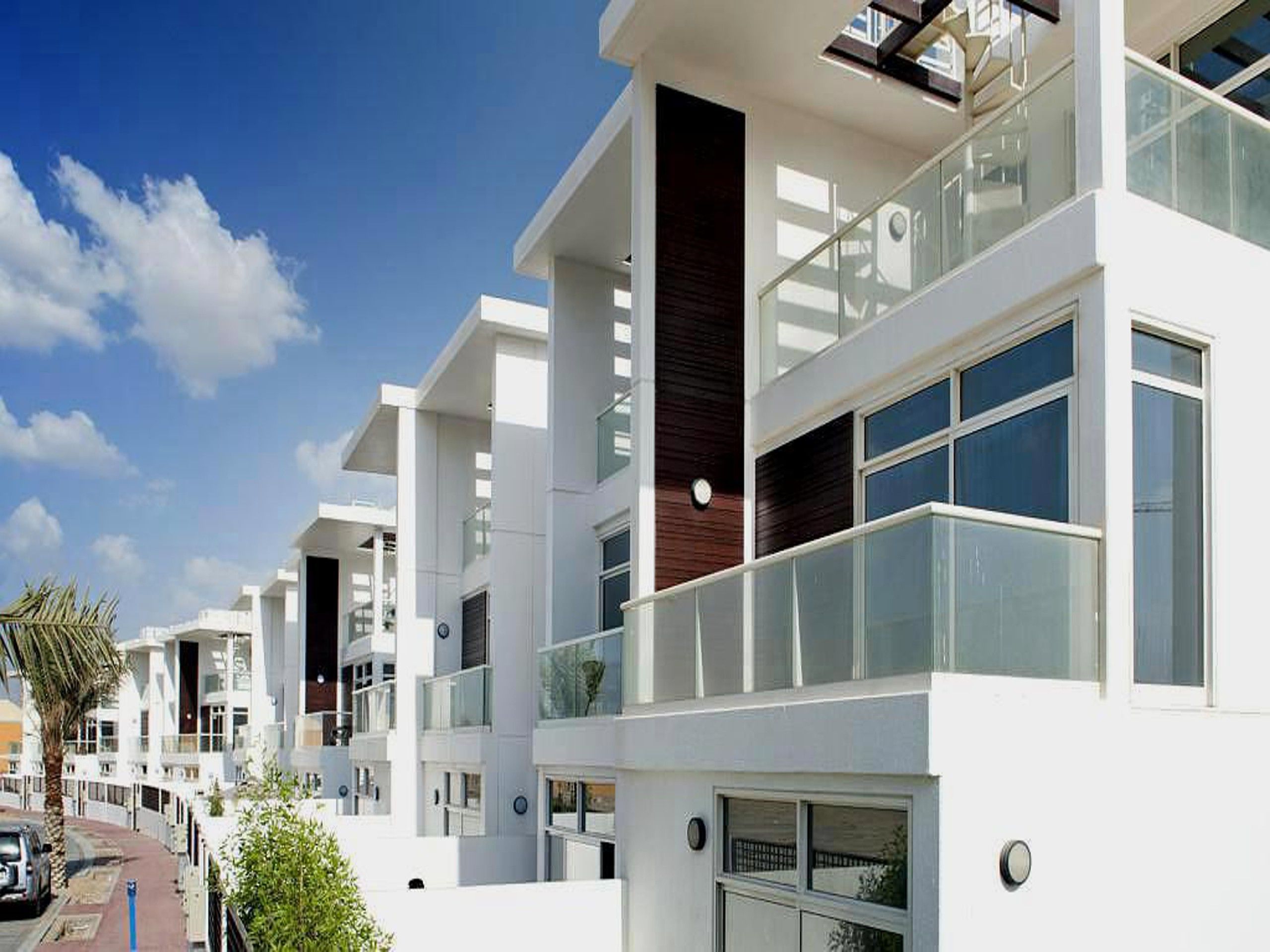 معلومات عن إيرانتيس