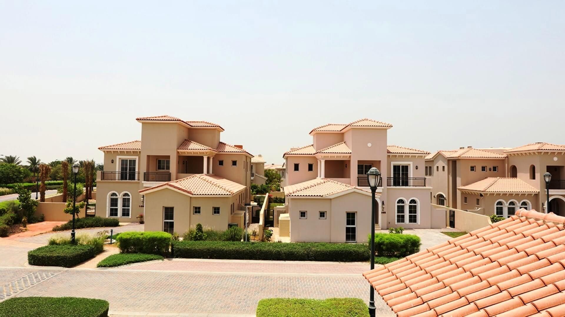 معلومات عن الزهرة البرية