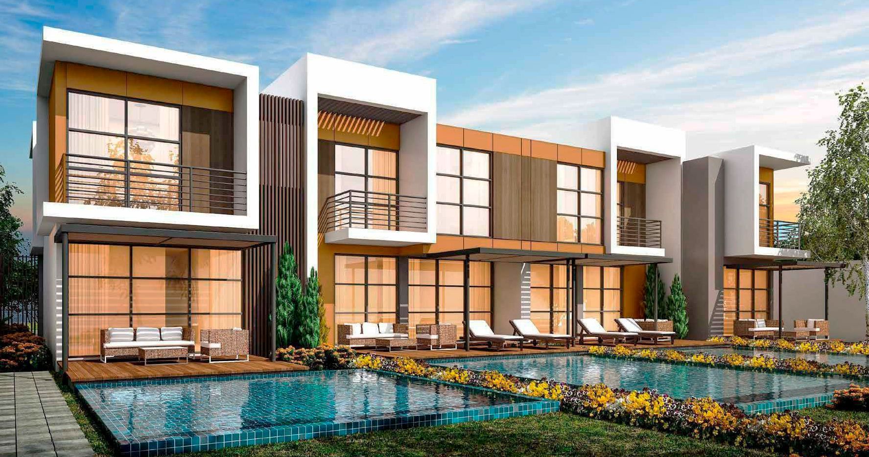 معلومات عن كلاريت