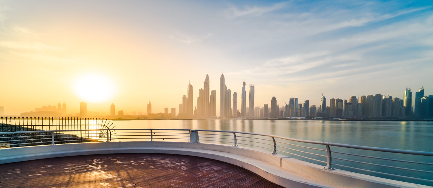 كل التفاصيل معلومات عن زينيا