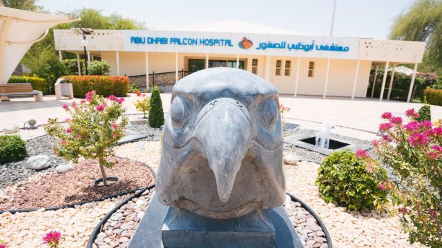 معلومات عن مستشفى أبوظبي للصقور