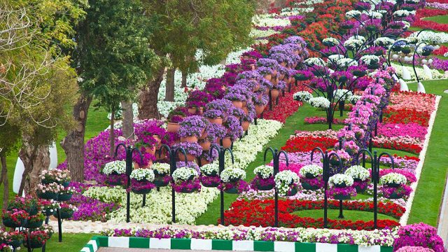 الحدائق العامة في العين 2024