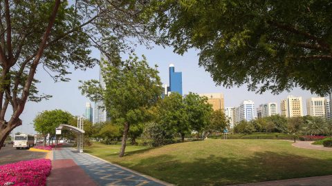 الحدائق والمنتزهات العامة في أبوظبي 2024