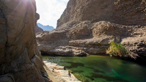 أبرز معلومات وأنشطة محمية وادي الوريعة الوطنية في الفجيرة