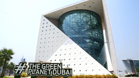 كل ما عليك معرفته عن ذا جرين بلانيت دبي الكوكب الأخضر