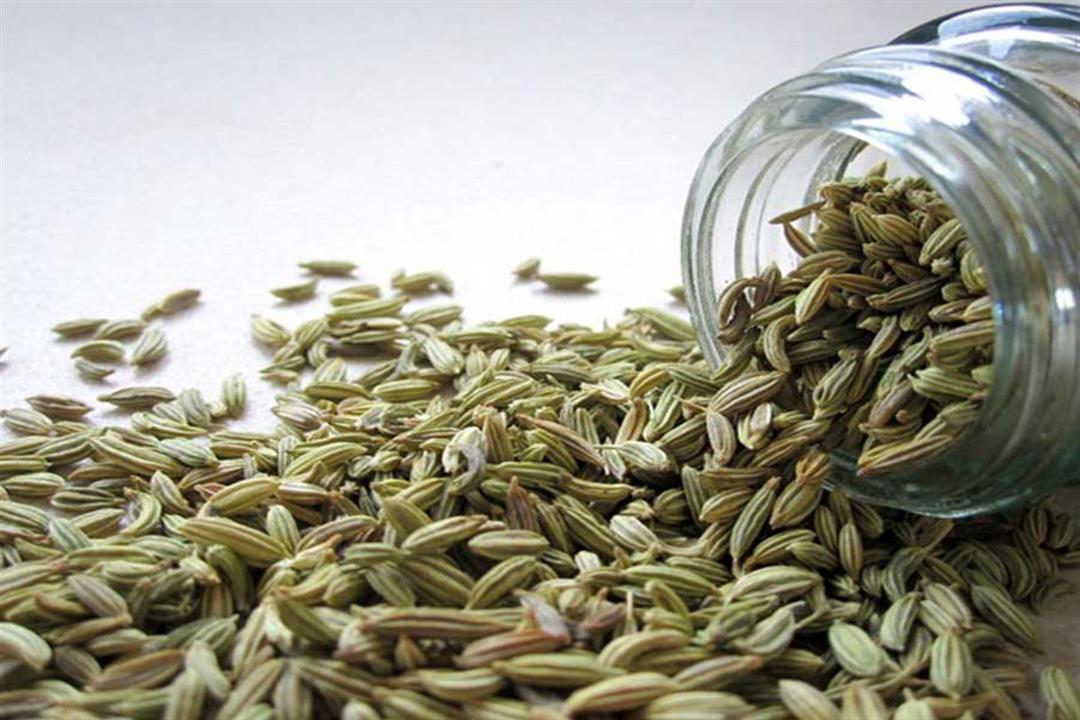 معلومات عن عشبة سنوت